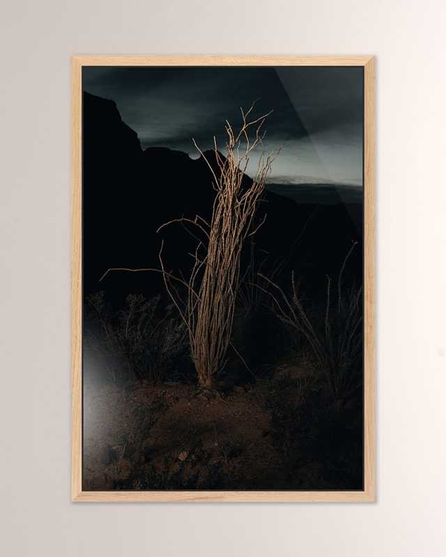 "Ocotillo III" Framed Metal Art Print by Mandy Steinback